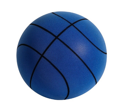 Silent Indoor Basketball