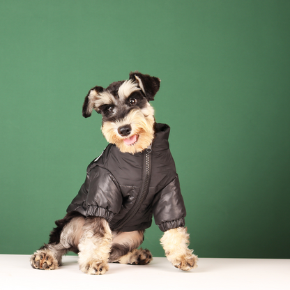 Dog Winter Jacket